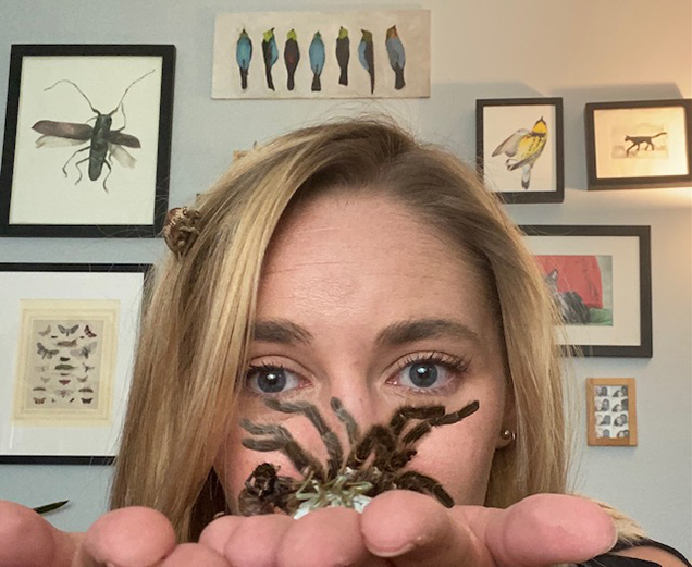 Artist with a tarantula on the palm of their hand